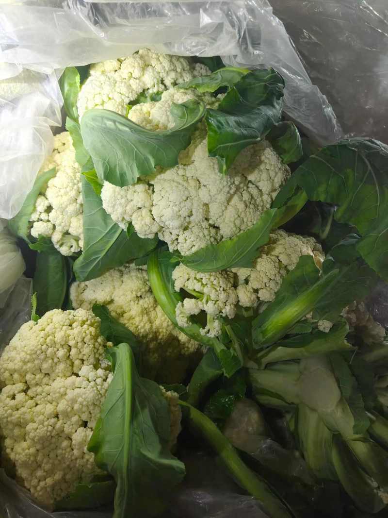 菜花已大量上市产地直供大量有货质量保证一手货源