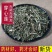 穿心莲无硫中药材新货包邮川心连苦胆草穿心莲中草药光杆穿心