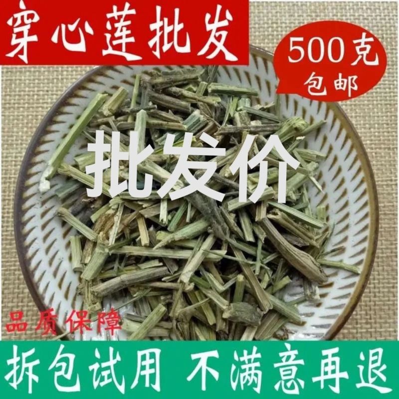 穿心莲无硫中药材新货包邮川心连苦胆草穿心莲中草药光杆穿心