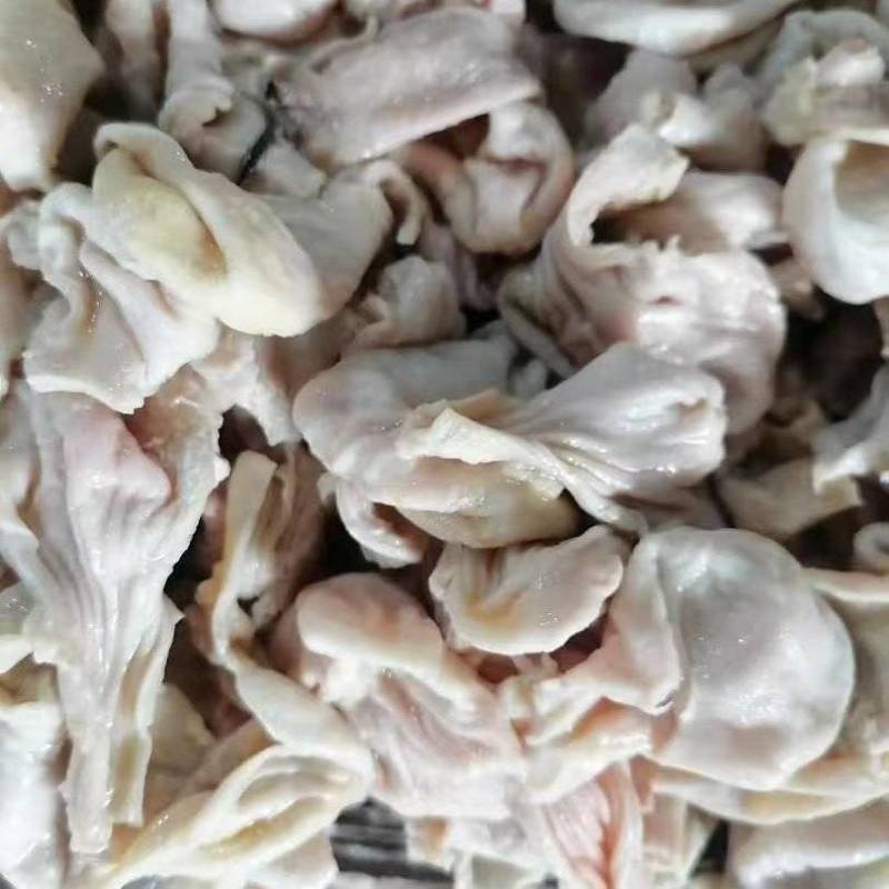 大肉食嗉皮长肚（八成熟）