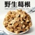 柴葛根块柴葛根500克中药材葛根葛根茶正品柴葛根丁