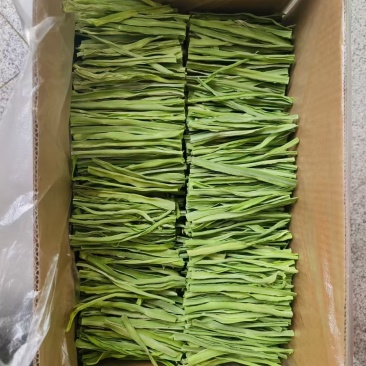 贡菜