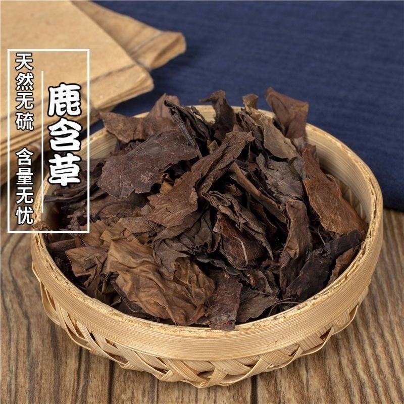 野生中药材鹿衔草鹿蹄草鹿含草鹿安茶晗草鹿衔草