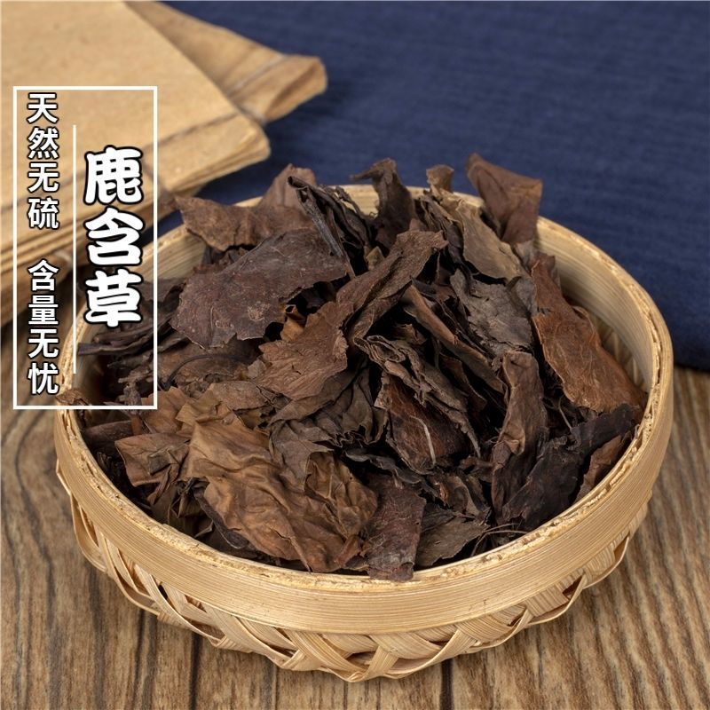 野生中药材鹿衔草鹿蹄草鹿含草鹿安茶晗草鹿衔草
