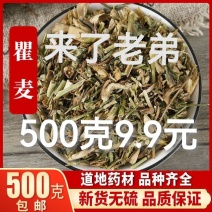 中药材瞿麦野生巨麦翟麦石竹巨句麦山瞿麦当季竹节草500克