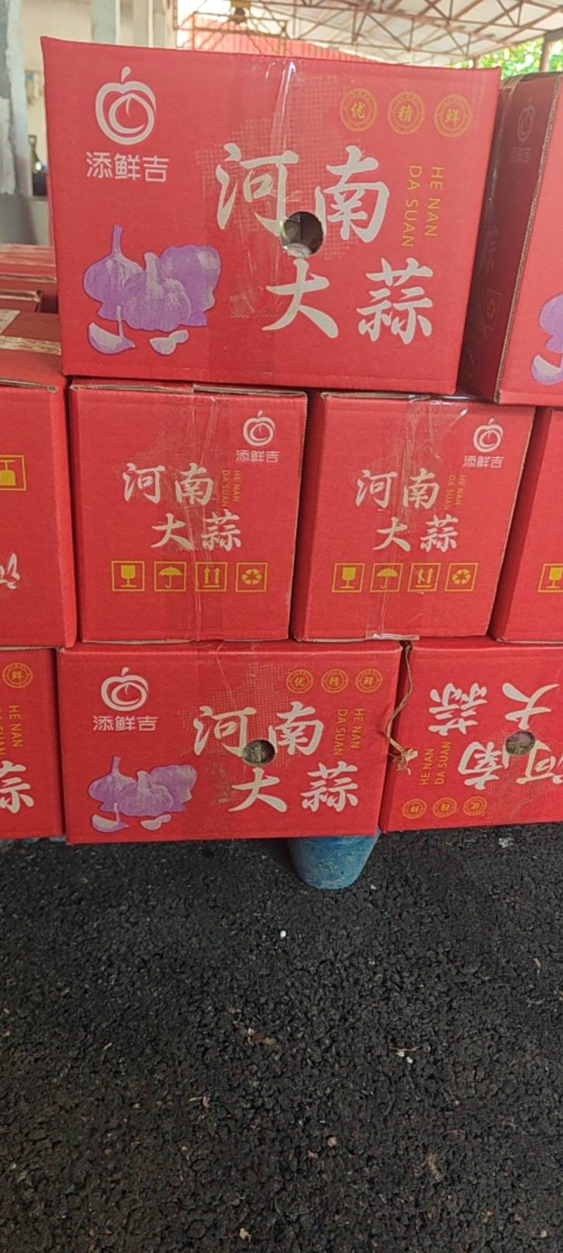 河南鲜蒜现挖湿蒜电商发货供应链完备