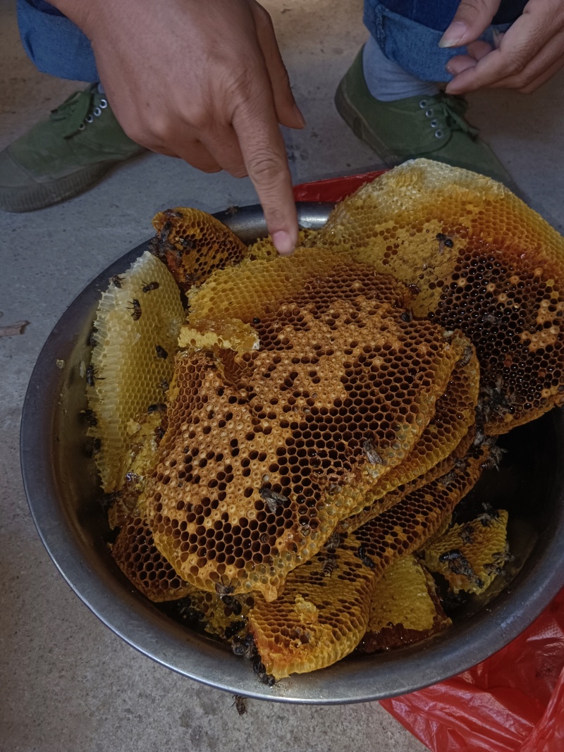 正宗深山野生蜂蜜