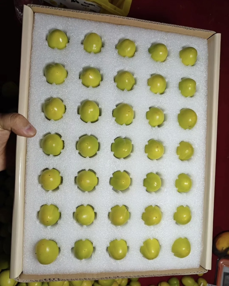 新疆轮胎小白杏，批发，代办，对接一件代发，电商，市场