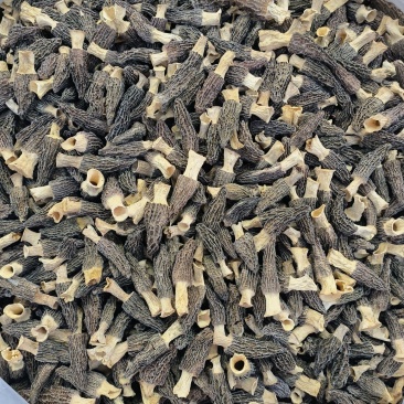 羊肚菌干货头茬肉厚剪柄羊肚菌野生山菌煲汤菌菇特产