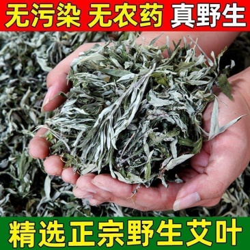 野生纯艾叶艾草艾灸泡脚包儿童产妇月子洗头泡澡药包纯艾草叶