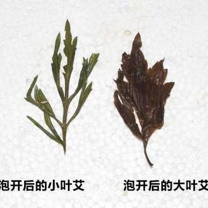 野生纯艾叶艾草艾灸泡脚包儿童产妇月子洗头泡澡药包纯艾草叶