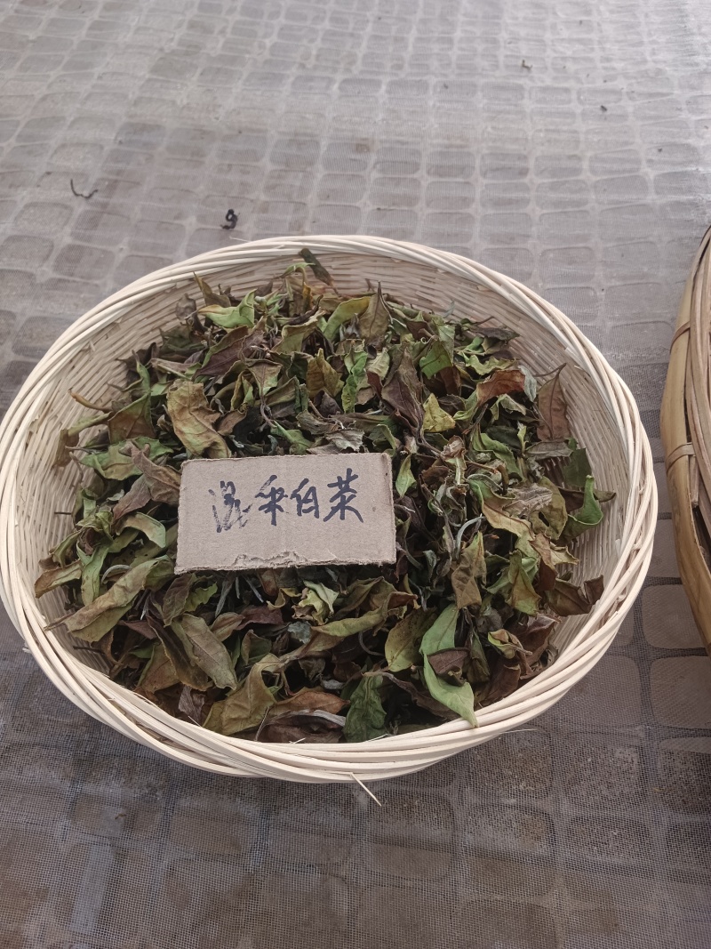 来自海拔1760米至1900米高山古树、大树茶，纯手工的