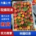 【丰园红杏】陕西原产地颜色靓丽大小个头都有熟度可选按需分拣