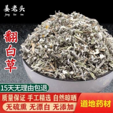 正品新货翻白草新鲜无硫***包邮翻白草正宗新货翻白草