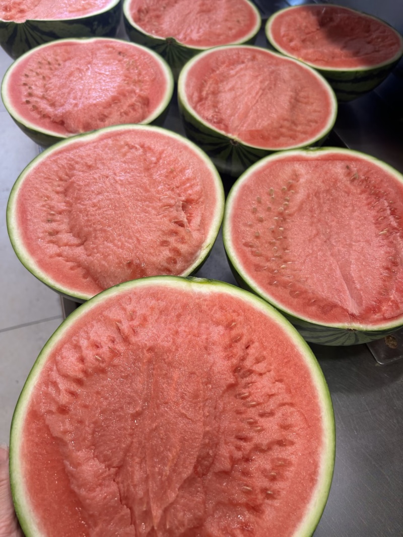 夏邑县美都麒麟瓜/河南麒麟无籽西瓜/日供应2万斤质量三包