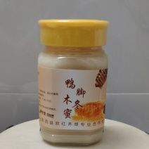 鸭脚冬蜜/广东阳江产区直发/货源充足/大量有货
