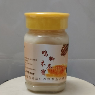 鸭脚冬蜜/广东阳江产区直发/货源充足/大量有货