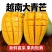 正宗越南大青芒果：一级大果：二级大果：三级大果。