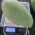 正宗越南大青芒果：一级大果：二级大果：三级大果。
