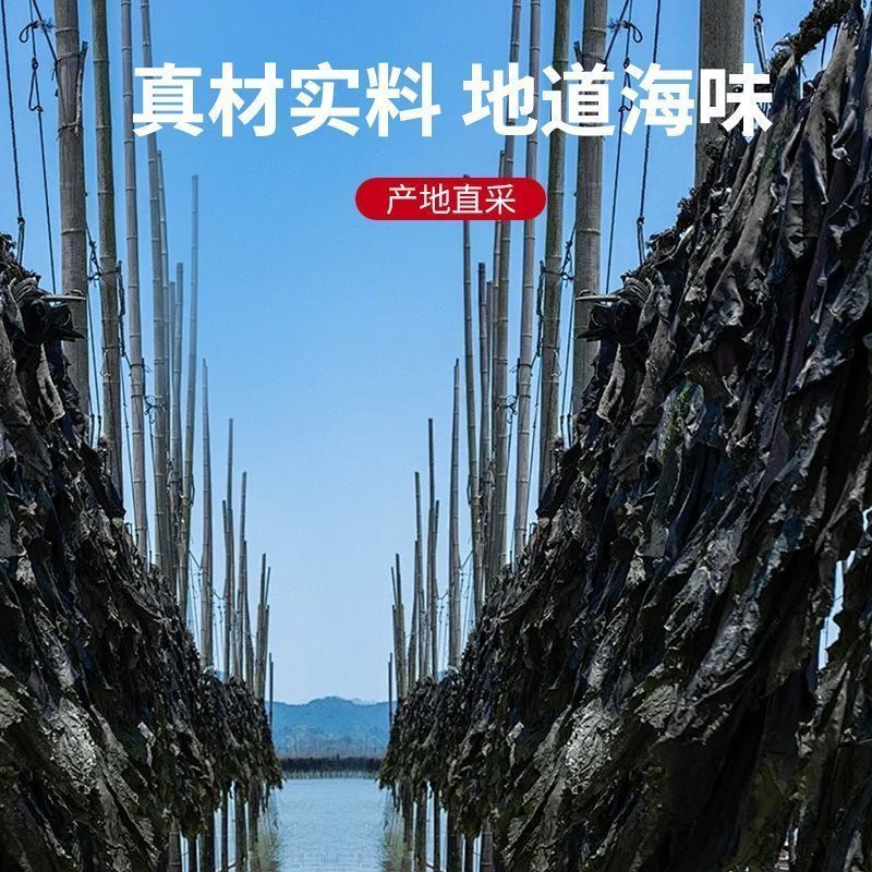 干裙带菜产地直供大量现货品质好价格低欢迎来电
