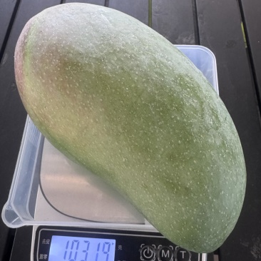 正宗越南大青芒果：一级大果：二级大果：三级大果。