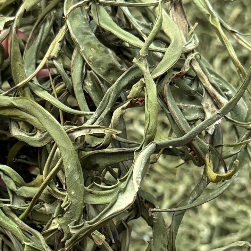 肾精草中药材无硫正品货真价实肾精草批发零售