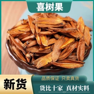 喜树果中药材正品喜树果无硫货真价实批发零售