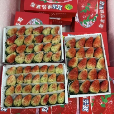 云南四季草莓，供货稳定冷链物流，售后有保障