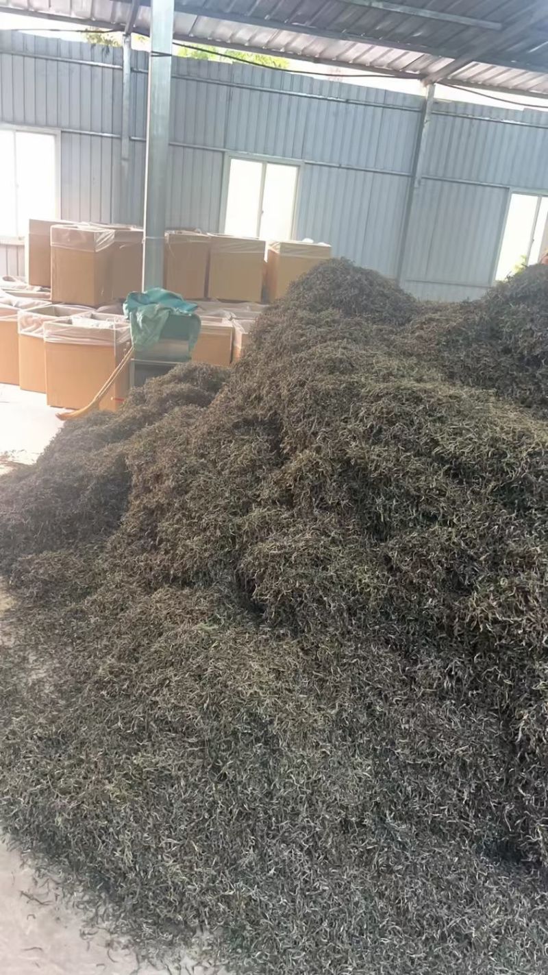 普洱茶大量批发出售（易武）