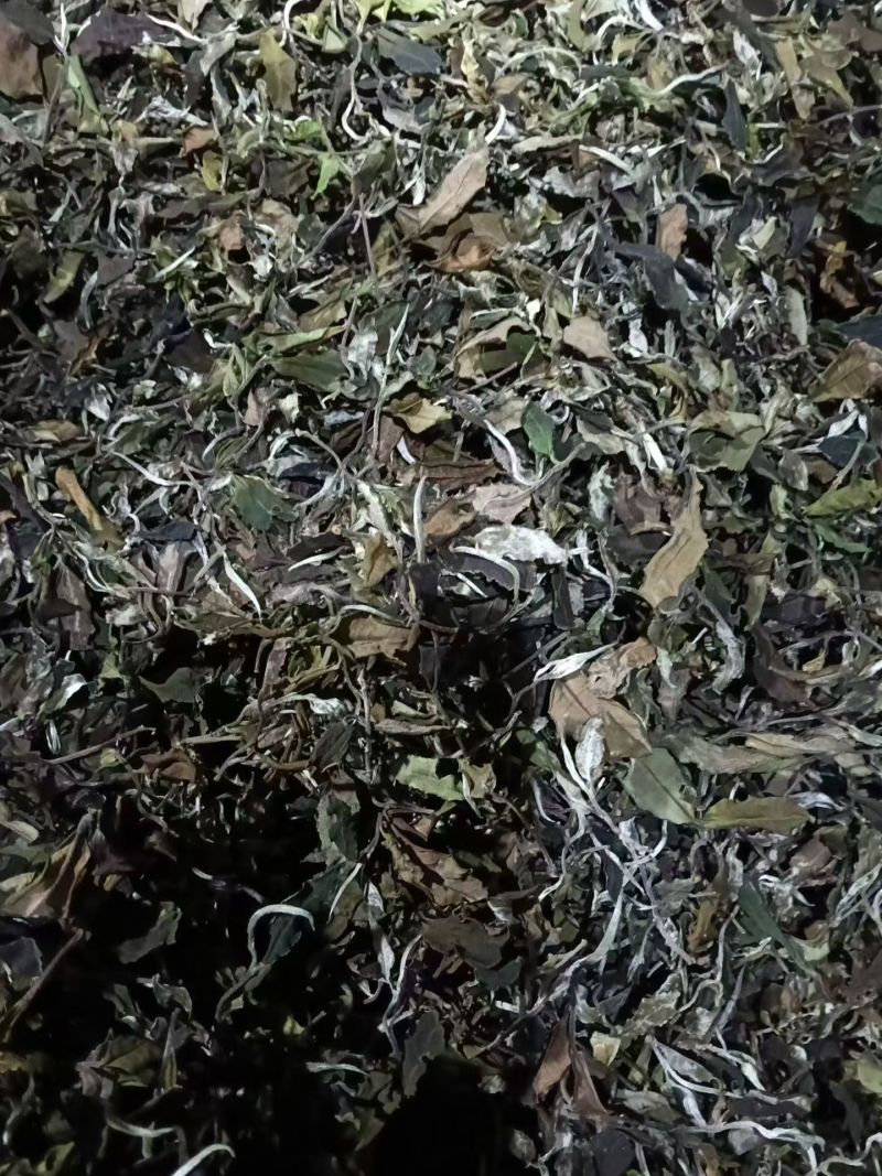 普洱茶大量批发出售（易武）