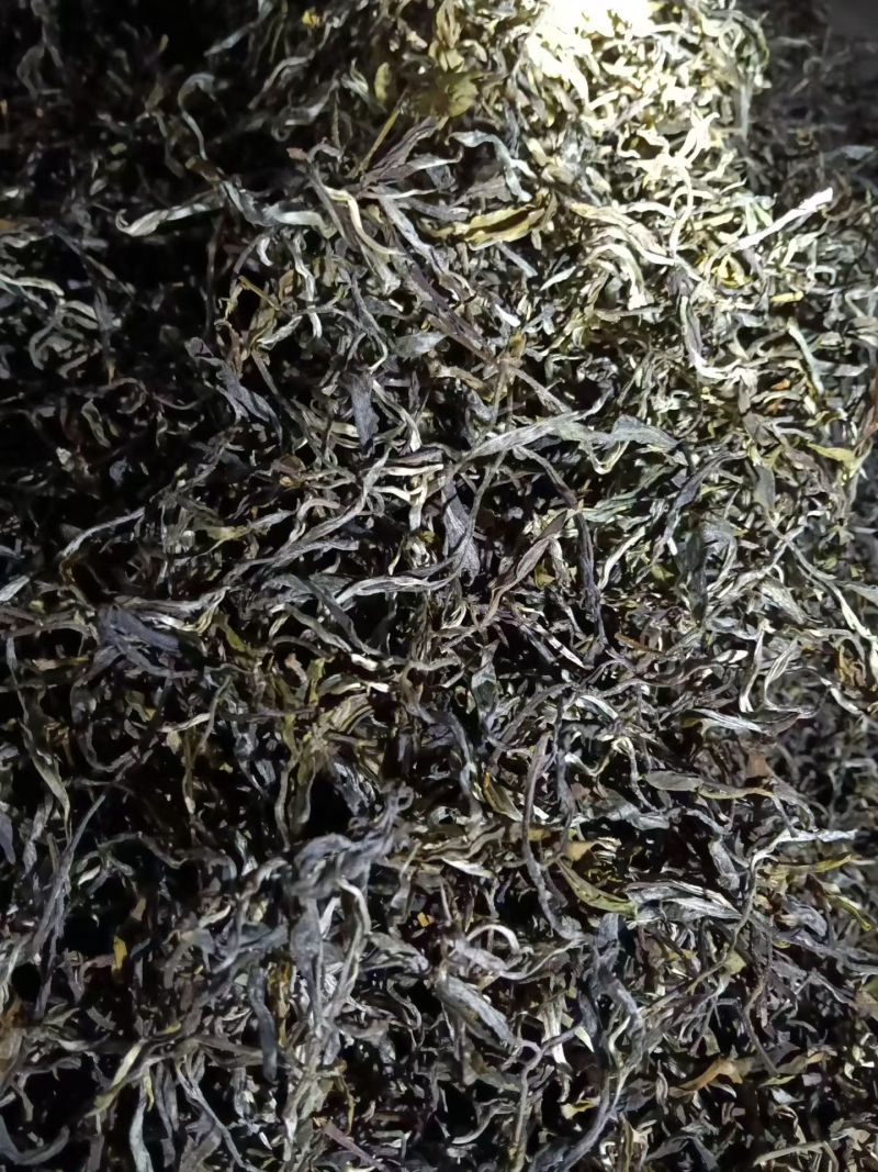 普洱茶大量批发出售（易武）