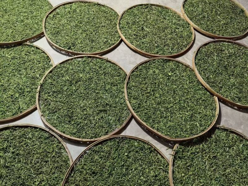 普洱茶大量批发出售（易武）