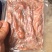 鲜活冷冻海肠200/g一板肉质肥厚冷冻锁鲜全国发货