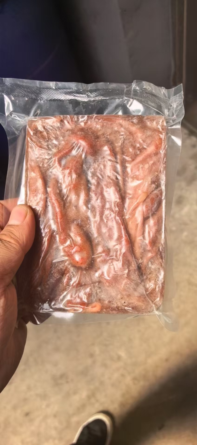 鲜活冷冻海肠200/g一板肉质肥厚冷冻锁鲜全国发货