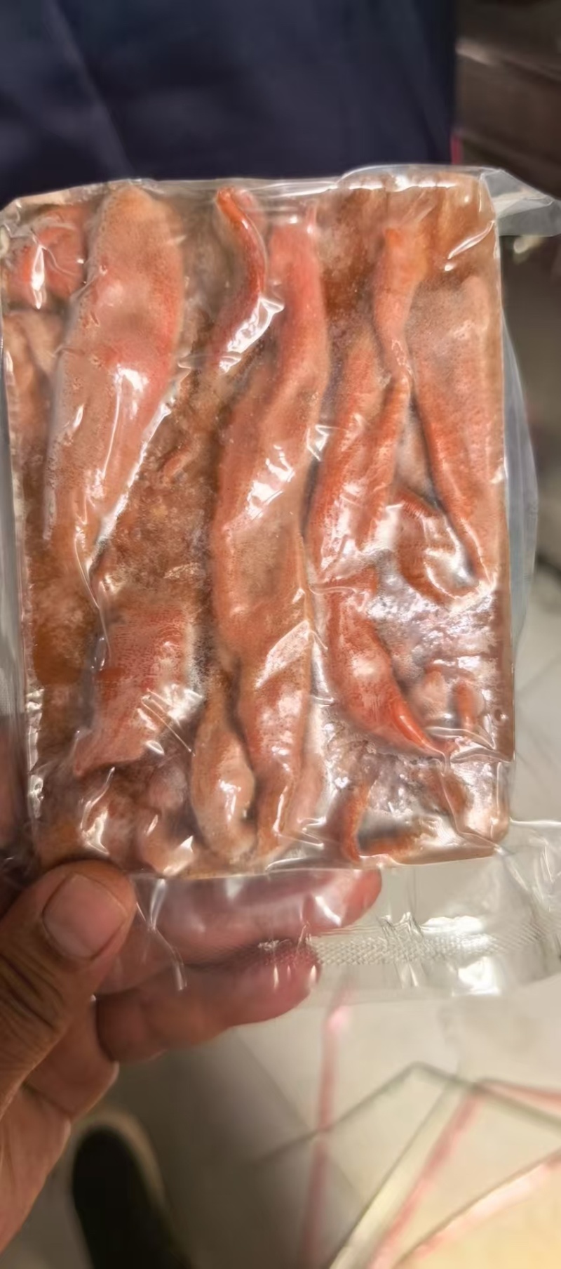 鲜活冷冻海肠200/g一板肉质肥厚冷冻锁鲜全国发货