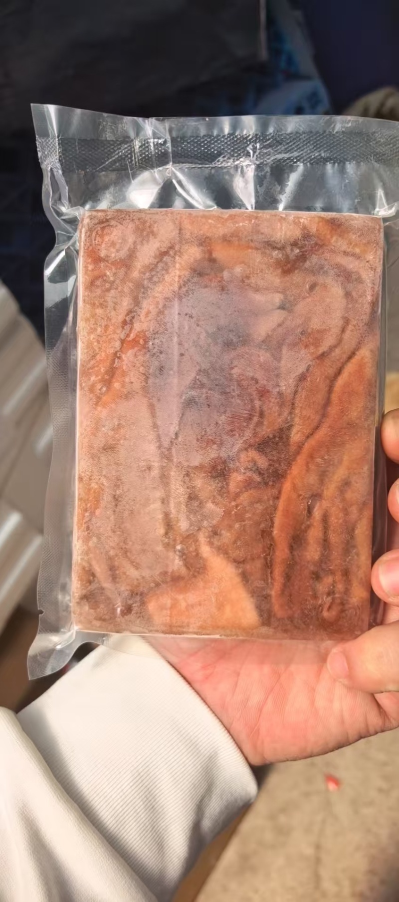 鲜活冷冻海肠200/g一板肉质肥厚冷冻锁鲜全国发货