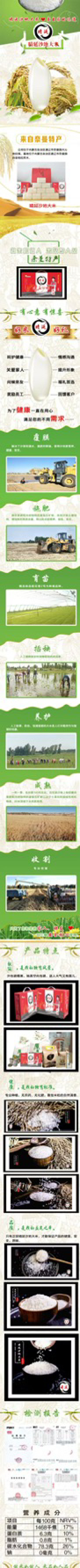 内蒙古沙地稻花香大米专业种植无农药化肥自然清香