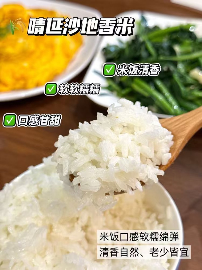 内蒙古沙地稻花香大米专业种植无农药化肥自然清香