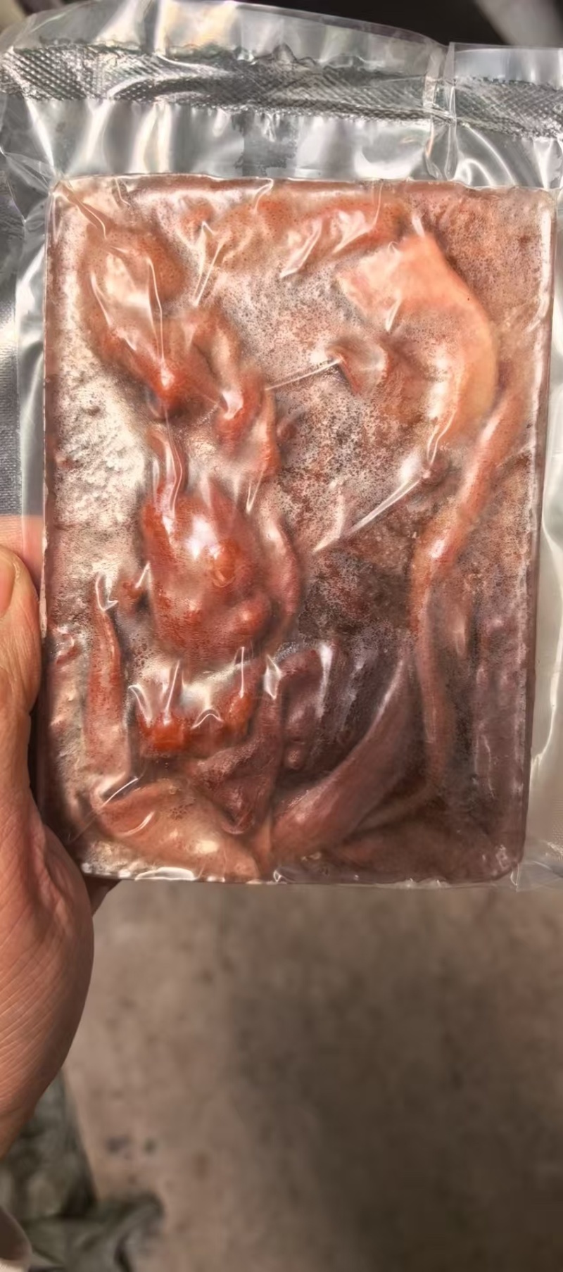 鲜海肠先加工一板200g一件110板