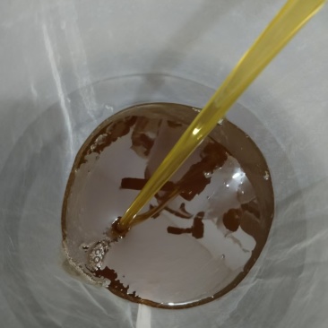 中蜂土蜂蜜，荔枝，龙眼，百花