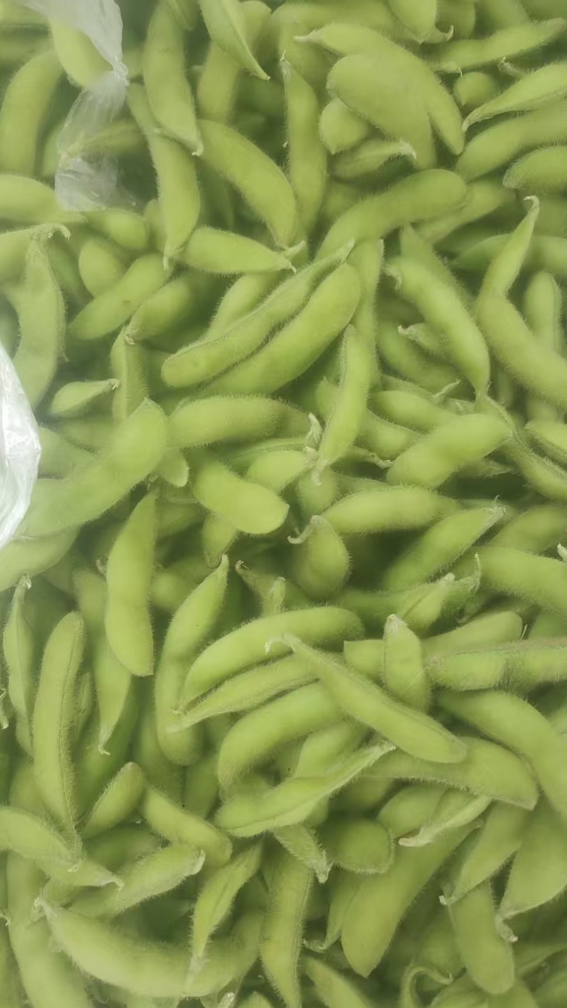 毛豆，大量有货，物美价优，欢迎咨询，