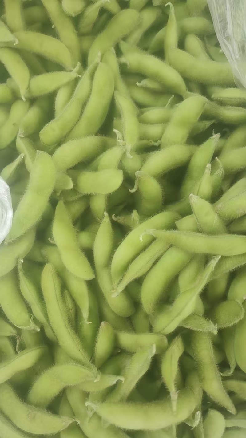 毛豆，大量有货，物美价优，欢迎咨询，