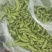 毛豆，大量有货，物美价优，欢迎咨询，