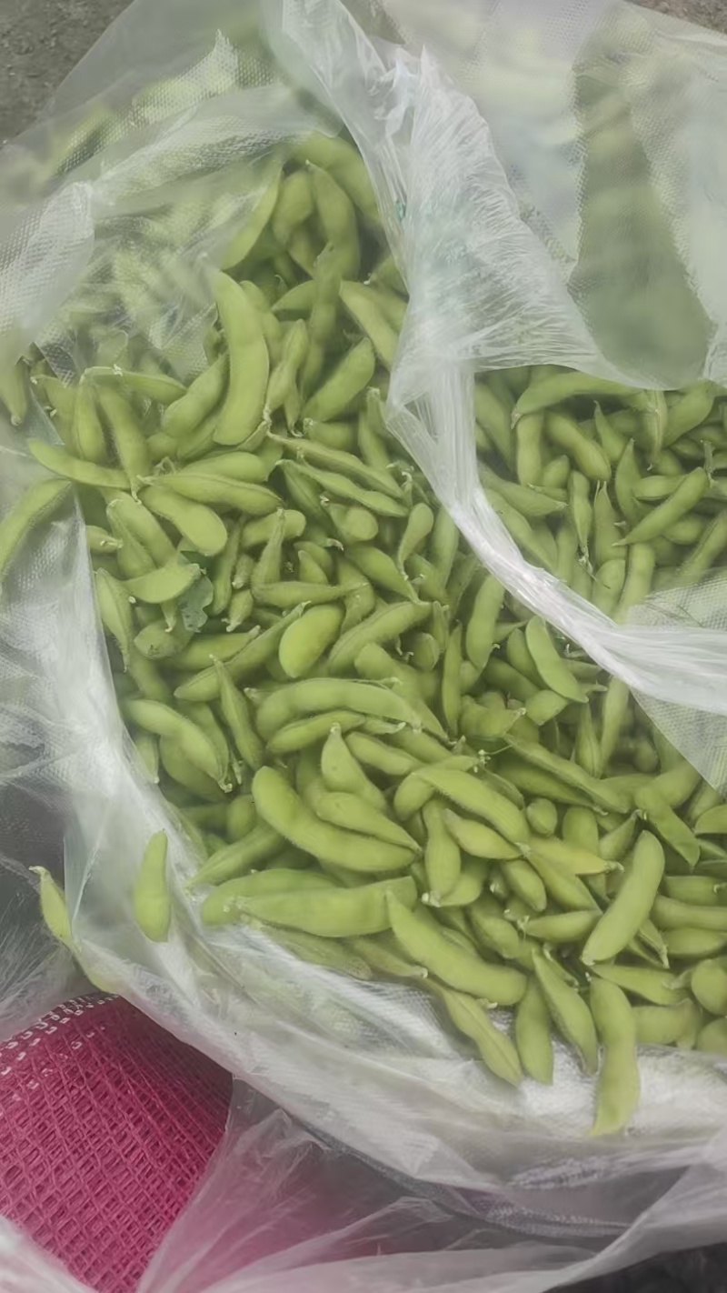 毛豆，大量有货，物美价优，欢迎咨询，