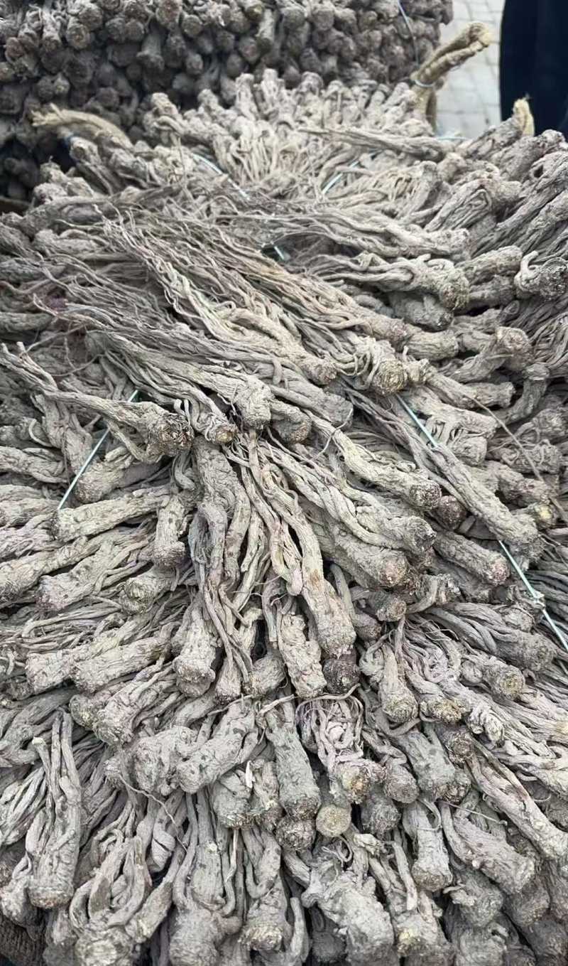 当归精品长条品质保证干货价格实惠一件代发包邮