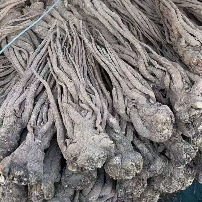 当归精品长条品质保证干货价格实惠一件代发包邮