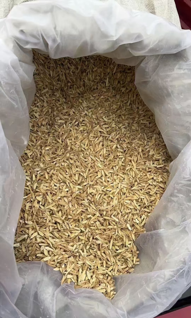 精品黄芪黄芪切片黄芪大中小瓜子片货源充足价格优一件