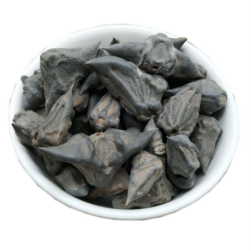 中药材鬼见愁菱角壳菱角干菱角乌菱壳风菱角正