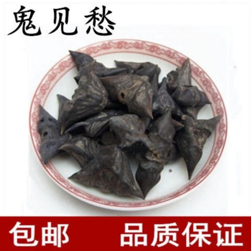 中药材鬼见愁菱角壳菱角干菱角乌菱壳风菱角正