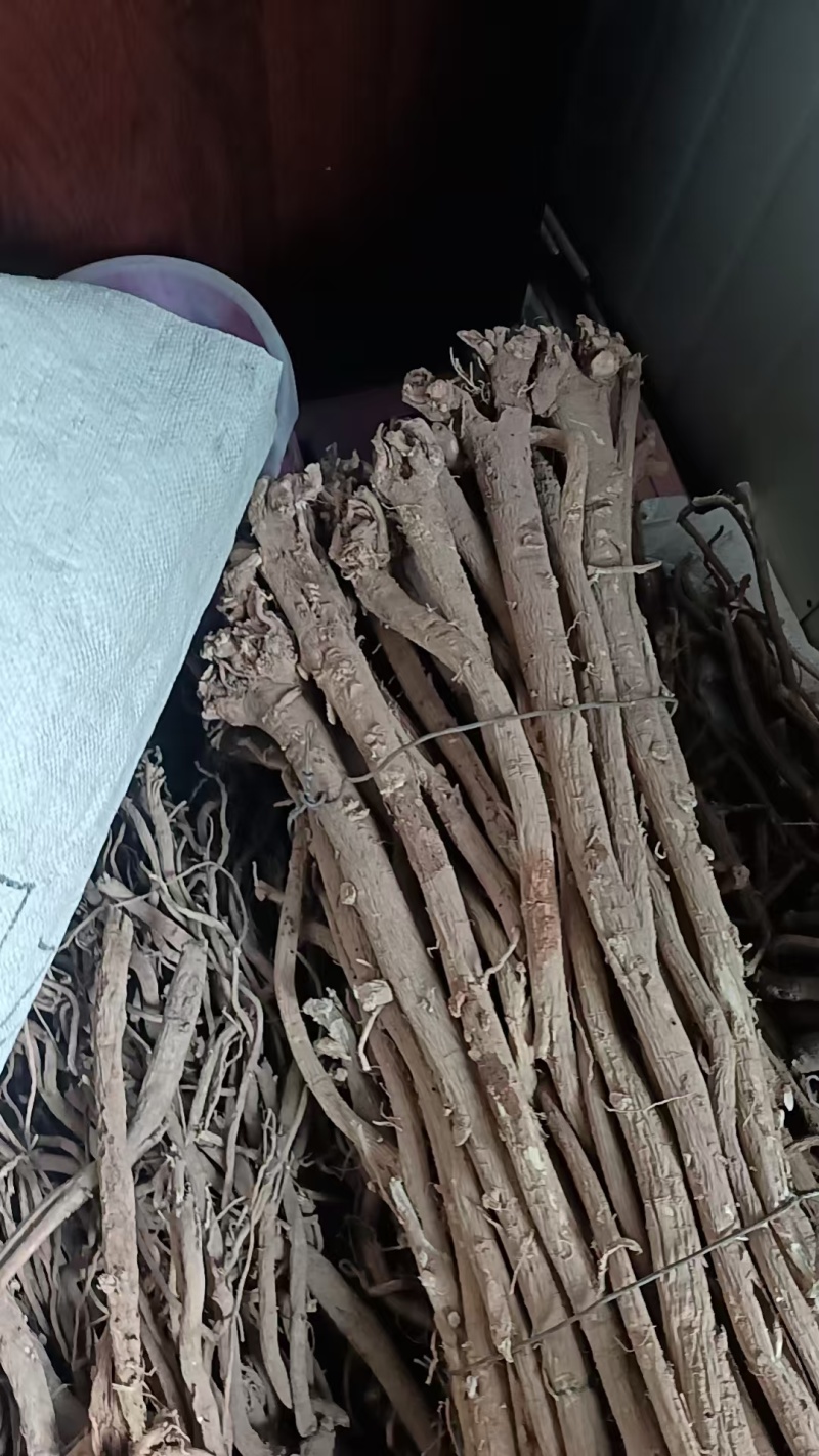野生黄芪推荐干货黄芪品质好价格优一件代发包邮